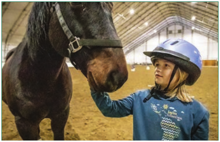 ybgr_equine_therapy_blog_image