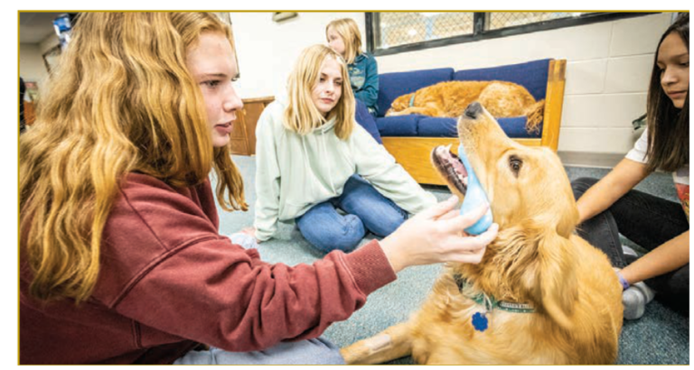 ybgr_pet_therapy_blog_image